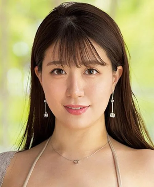 热播电视剧全集 排播解析